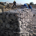 Clôture de fil de Gabion en gros de fil galvanisé de la Chine 2.7mm (GWF)